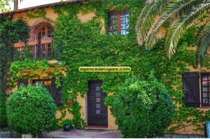 propriete à la vente -   66750  SAINT CYPRIEN, surface 450 m2 vente propriete - UBI415604364
